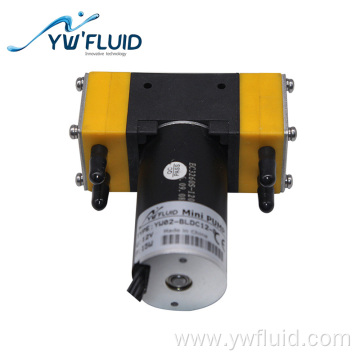 Dual Head Diaphragm Pump Brushless Oil-free Water Pump